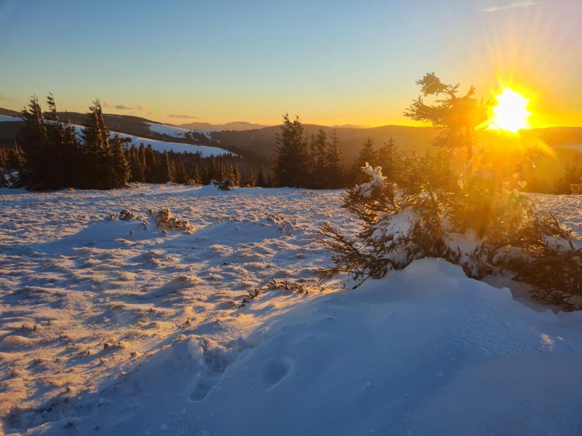 Spacieux Et Confortables Gites A Proximite Randonnees, Lacs, Ski Nature Sondernach Екстериор снимка