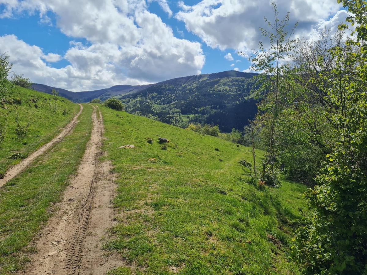 Spacieux Et Confortables Gites A Proximite Randonnees, Lacs, Ski Nature Sondernach Екстериор снимка