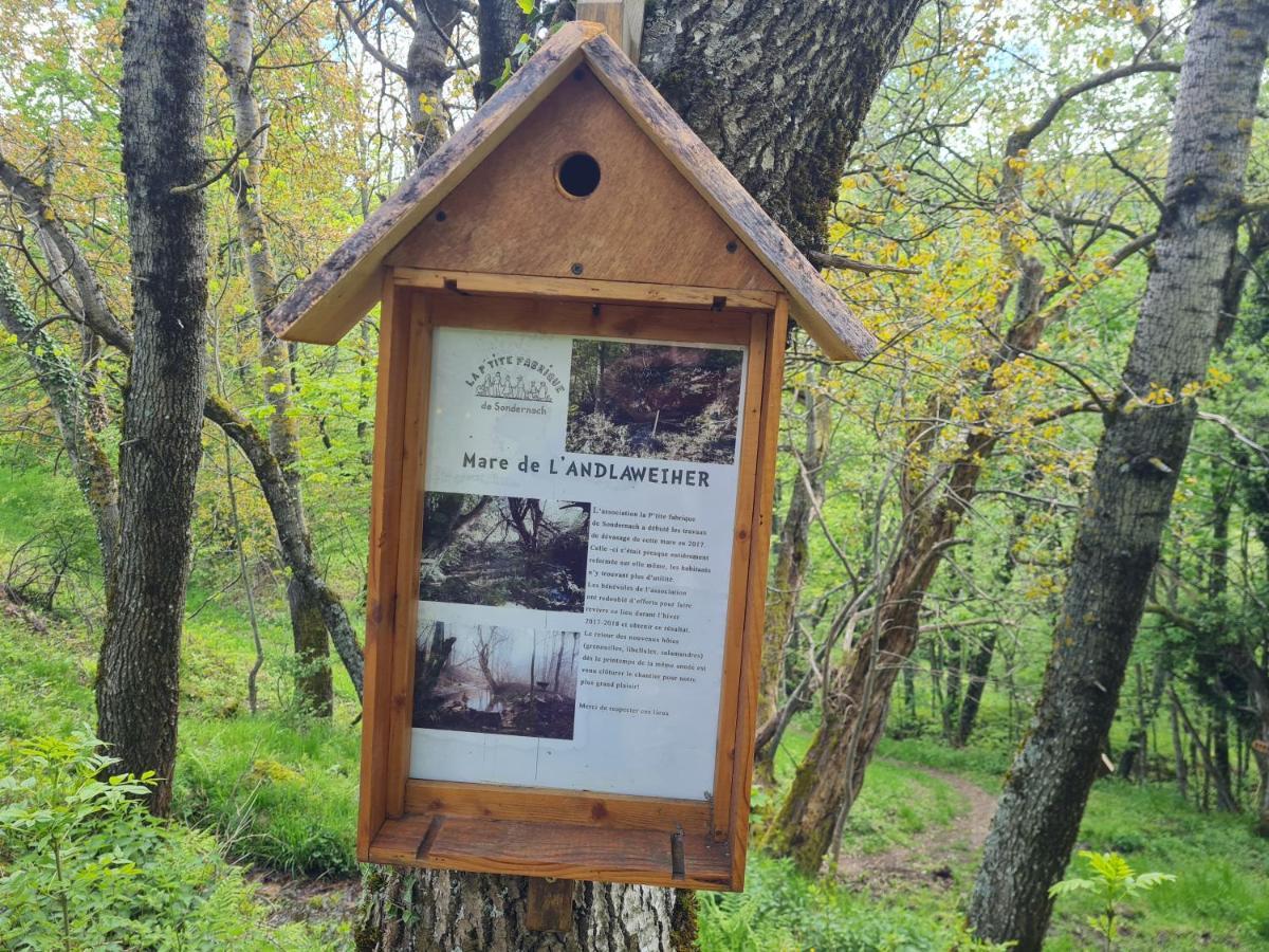 Spacieux Et Confortables Gites A Proximite Randonnees, Lacs, Ski Nature Sondernach Екстериор снимка