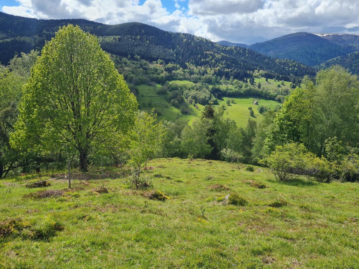Spacieux Et Confortables Gites A Proximite Randonnees, Lacs, Ski Nature Sondernach Екстериор снимка