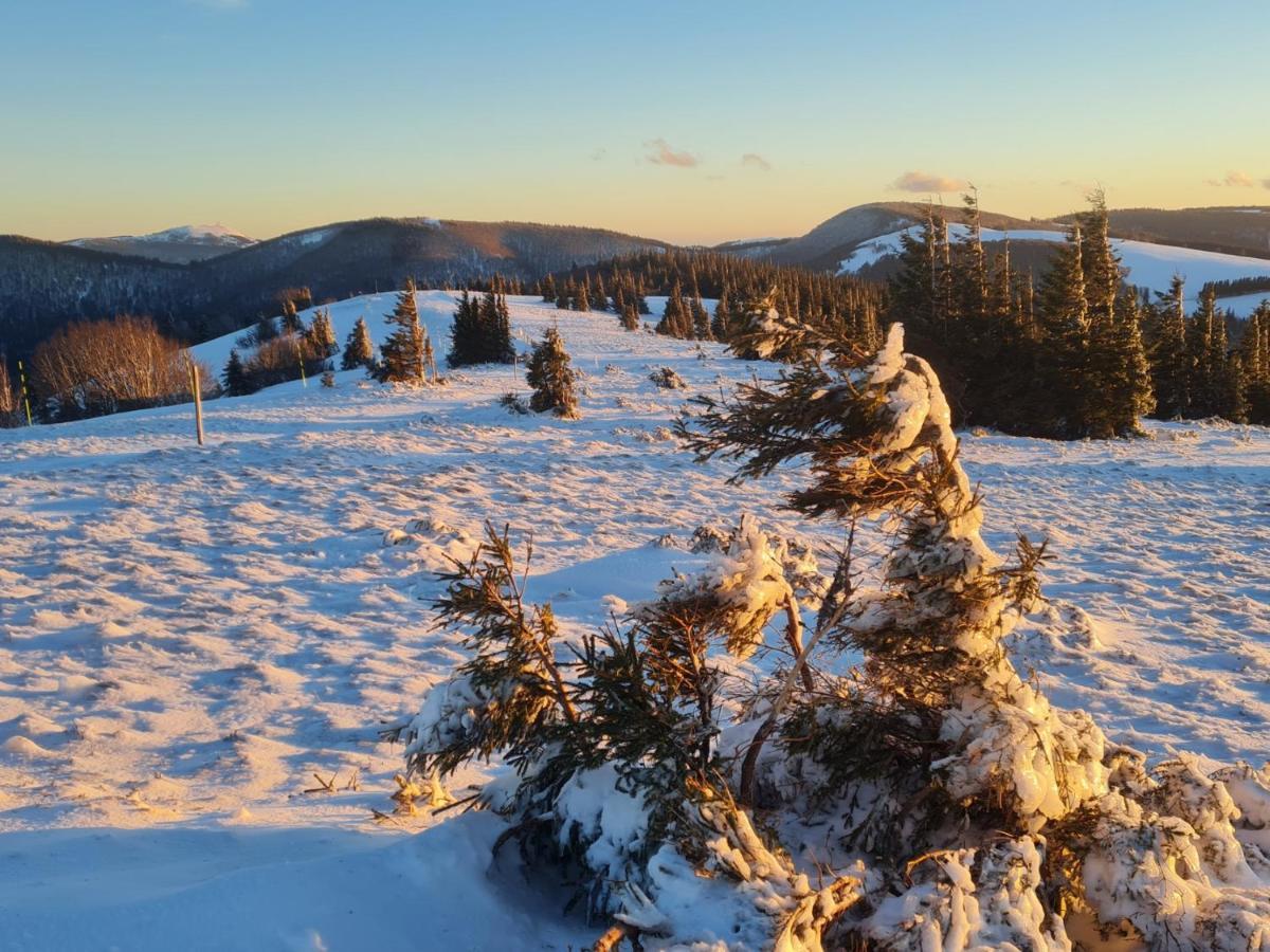 Spacieux Et Confortables Gites A Proximite Randonnees, Lacs, Ski Nature Sondernach Екстериор снимка