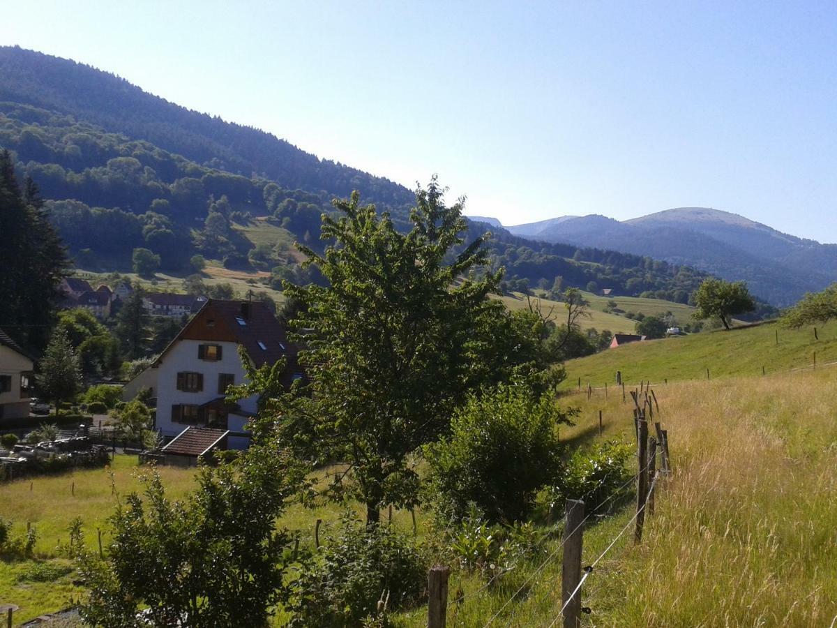 Spacieux Et Confortables Gites A Proximite Randonnees, Lacs, Ski Nature Sondernach Екстериор снимка