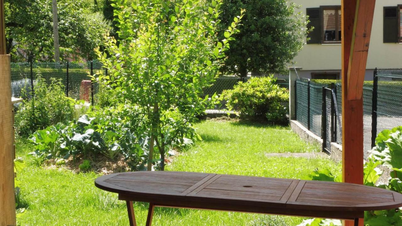 Spacieux Et Confortables Gites A Proximite Randonnees, Lacs, Ski Nature Sondernach Екстериор снимка