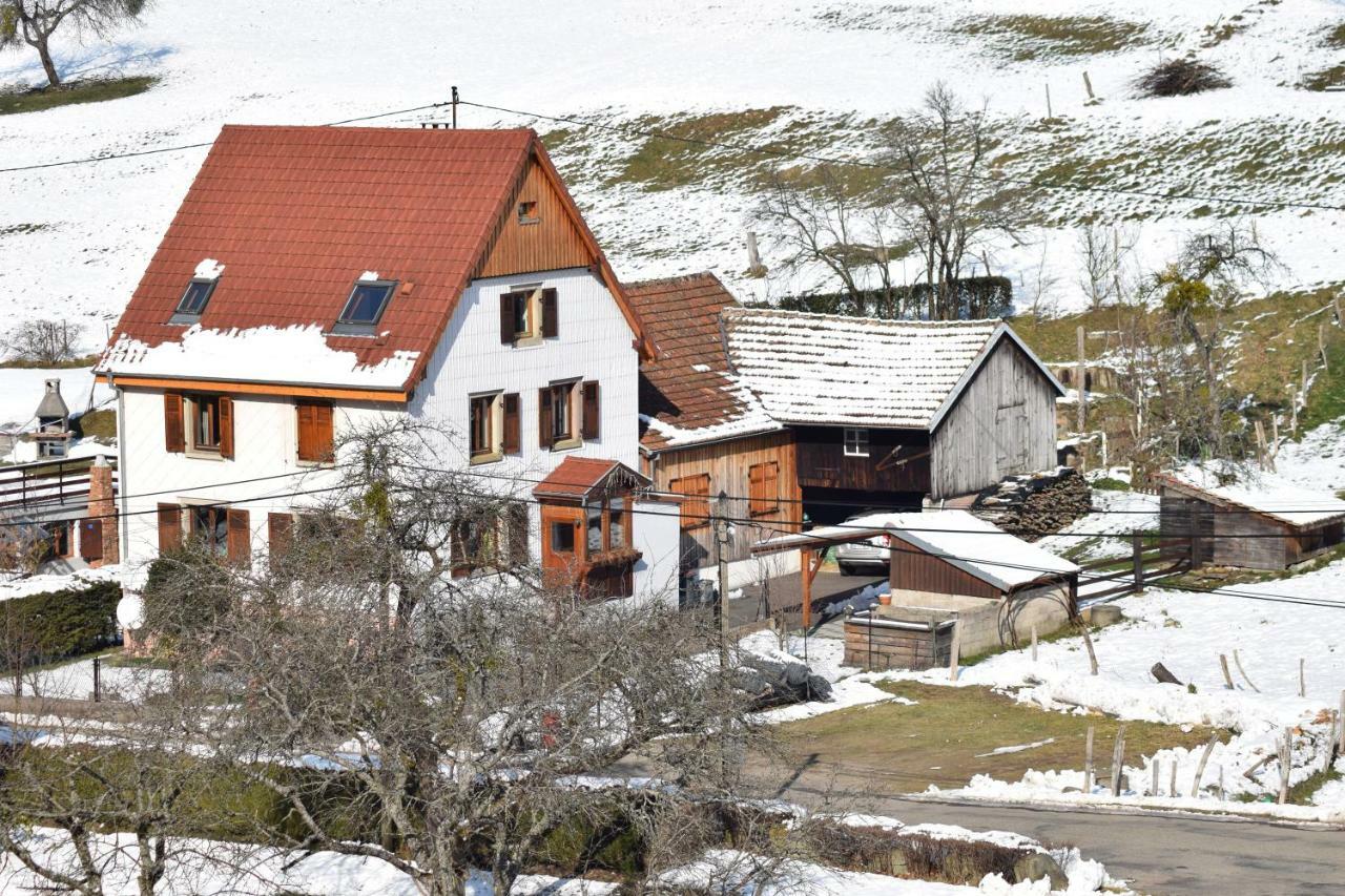Spacieux Et Confortables Gites A Proximite Randonnees, Lacs, Ski Nature Sondernach Екстериор снимка
