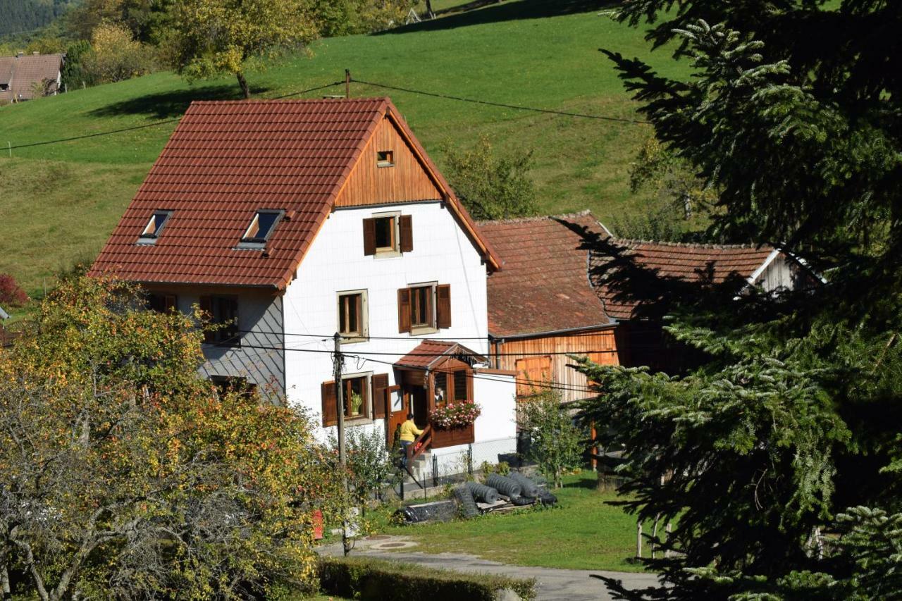 Spacieux Et Confortables Gites A Proximite Randonnees, Lacs, Ski Nature Sondernach Екстериор снимка