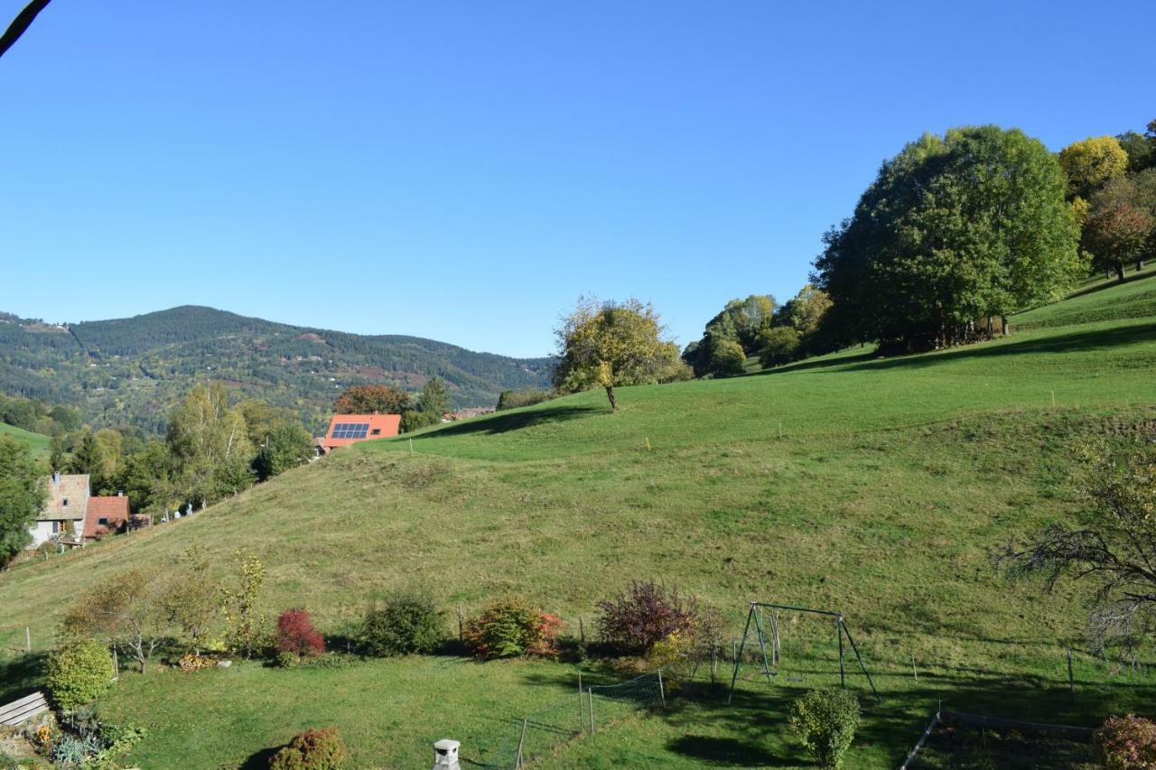 Spacieux Et Confortables Gites A Proximite Randonnees, Lacs, Ski Nature Sondernach Екстериор снимка