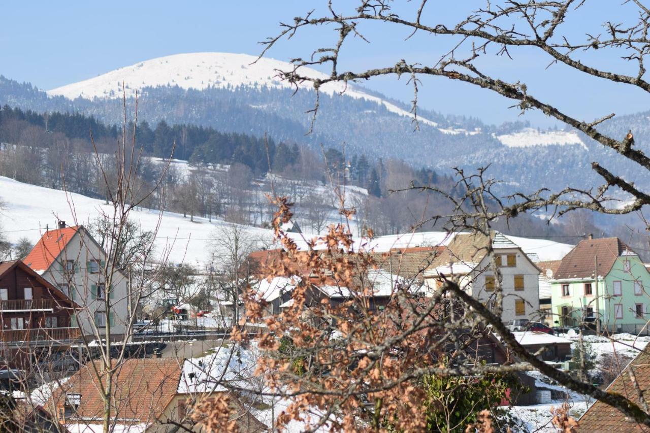 Spacieux Et Confortables Gites A Proximite Randonnees, Lacs, Ski Nature Sondernach Екстериор снимка