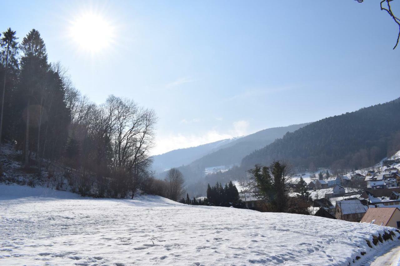 Spacieux Et Confortables Gites A Proximite Randonnees, Lacs, Ski Nature Sondernach Екстериор снимка